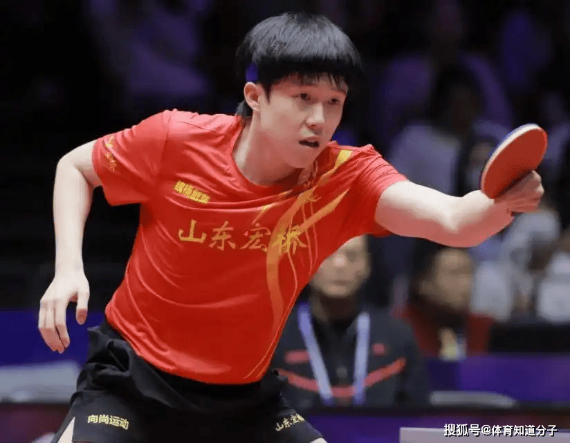 仰泳项目的 仰泳项目的